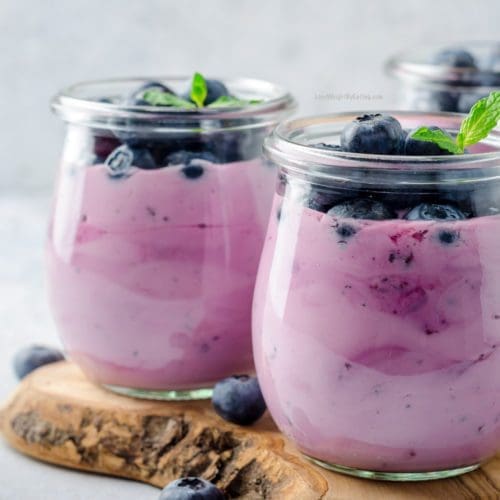 homemade blueberry yogurt recipe