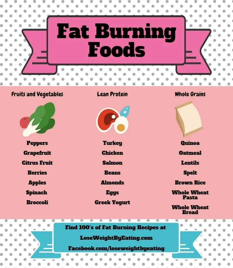 weight loss food plan