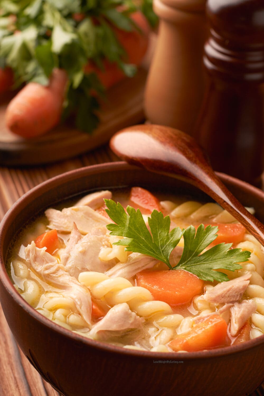 Healthy Chicken Noodle Soup for Weight Loss