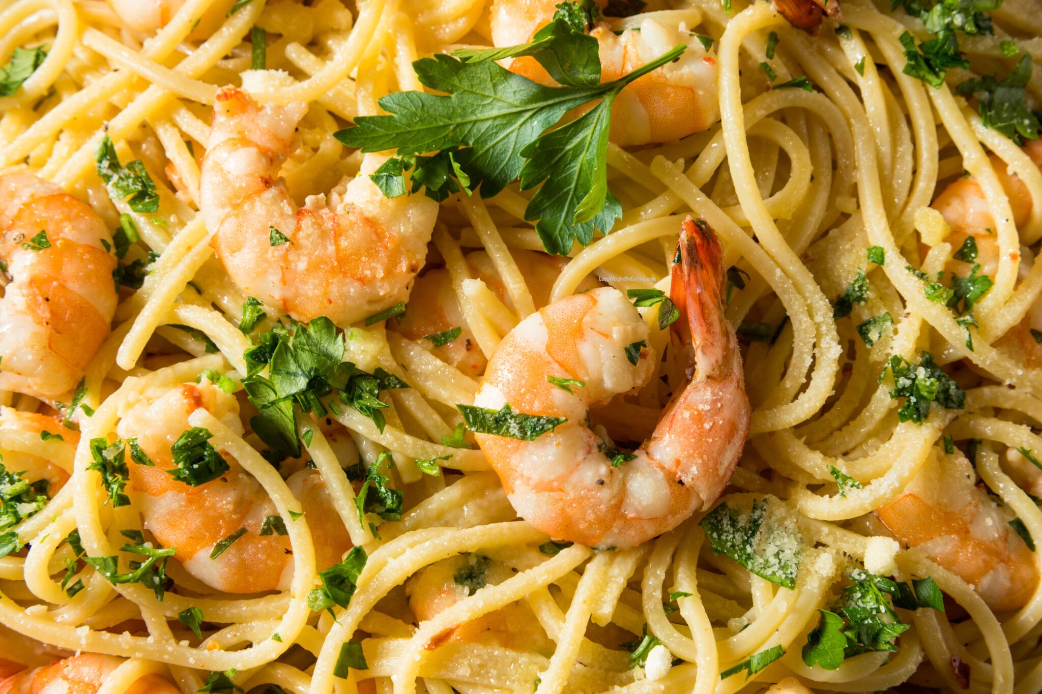 10 BEST Italian Food Dinners (LOW CALORIE)