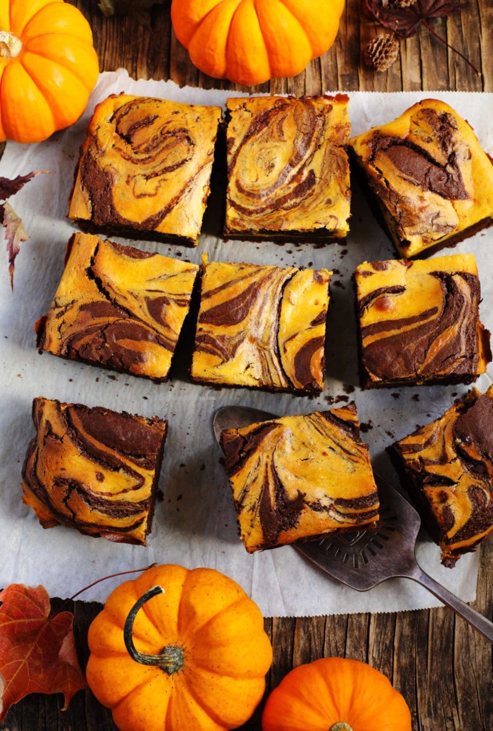 Pumpkin Swirl Brownies Recipe