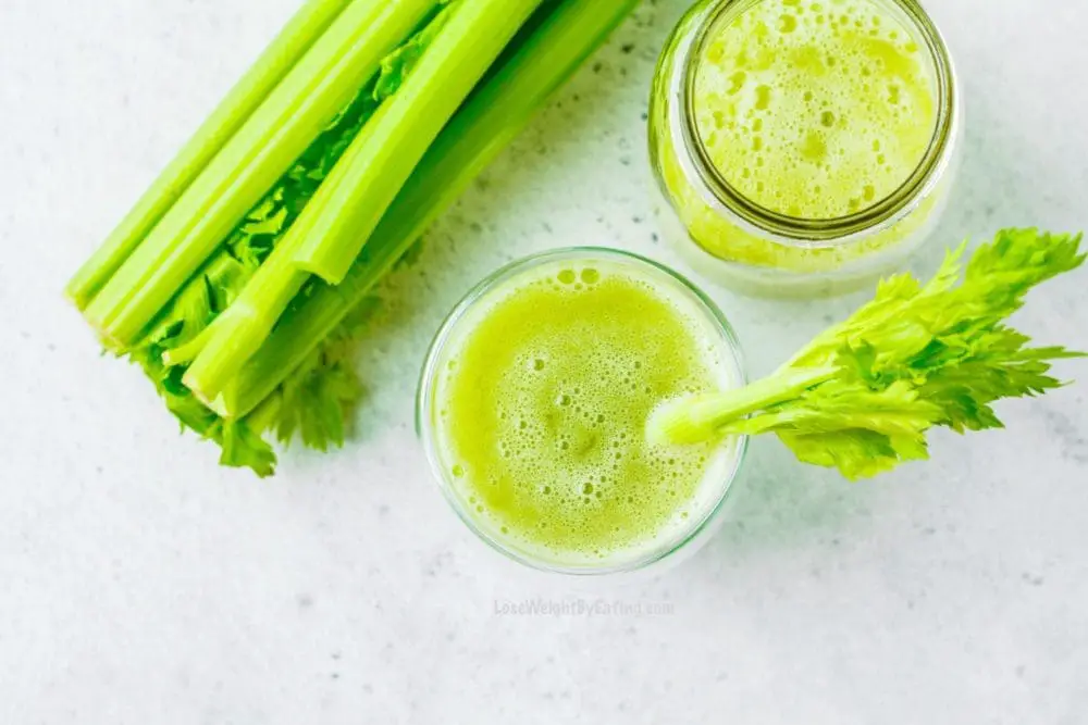 weight loss celery juice recipe