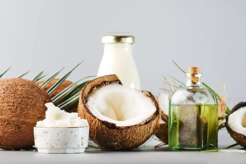 MCT Oil vs Coconut Oil: What’s the Difference?