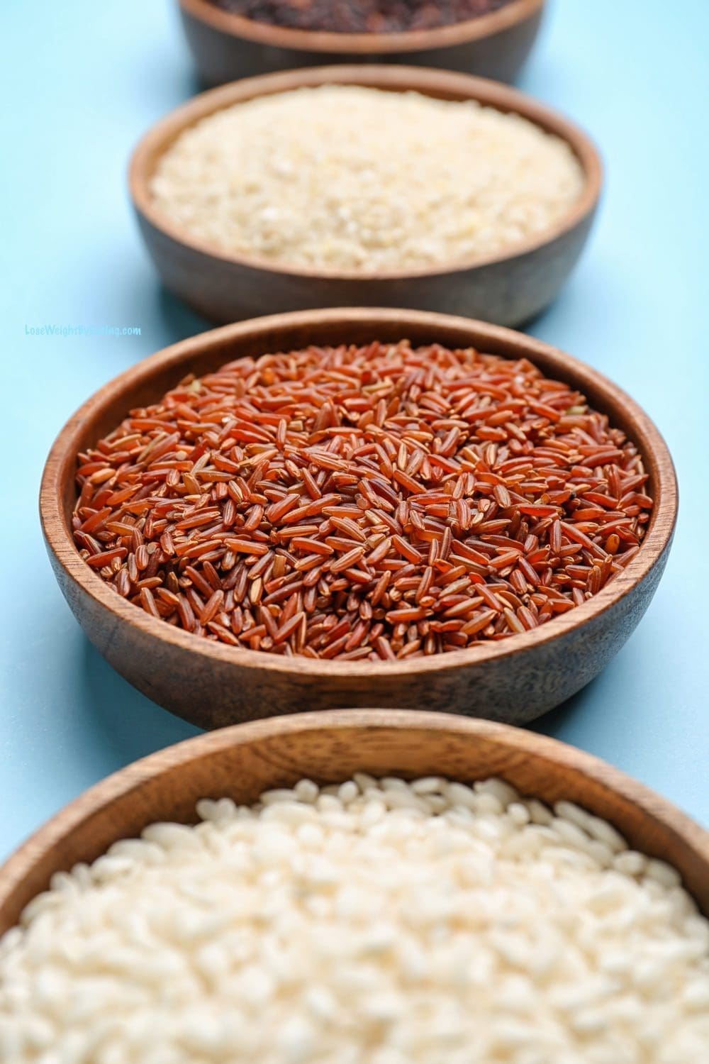 10 Different Types of Rice