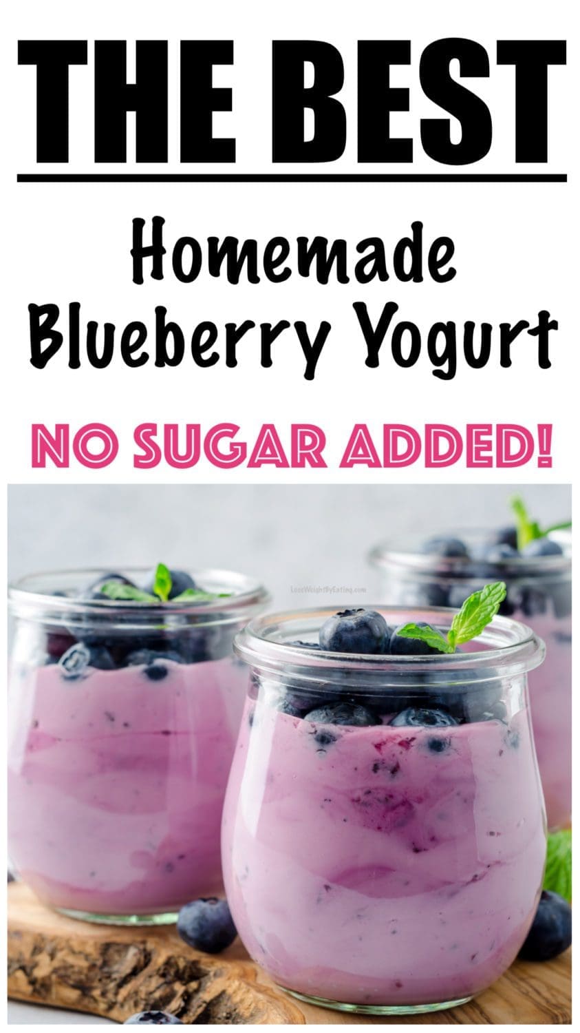 homemade blueberry yogurt