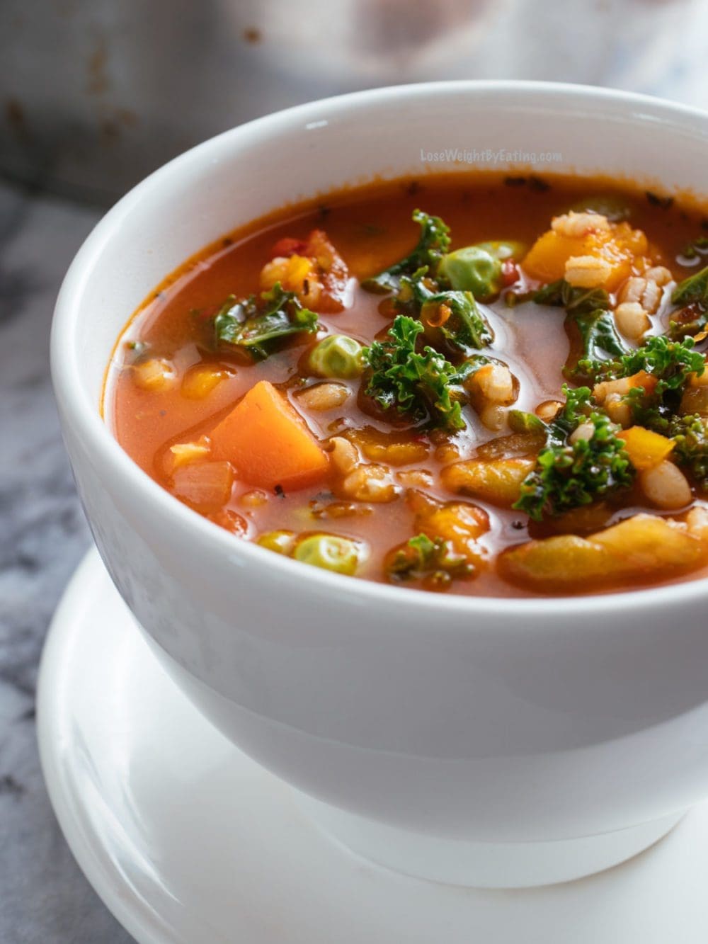 Minestrone Weight Loss Soup