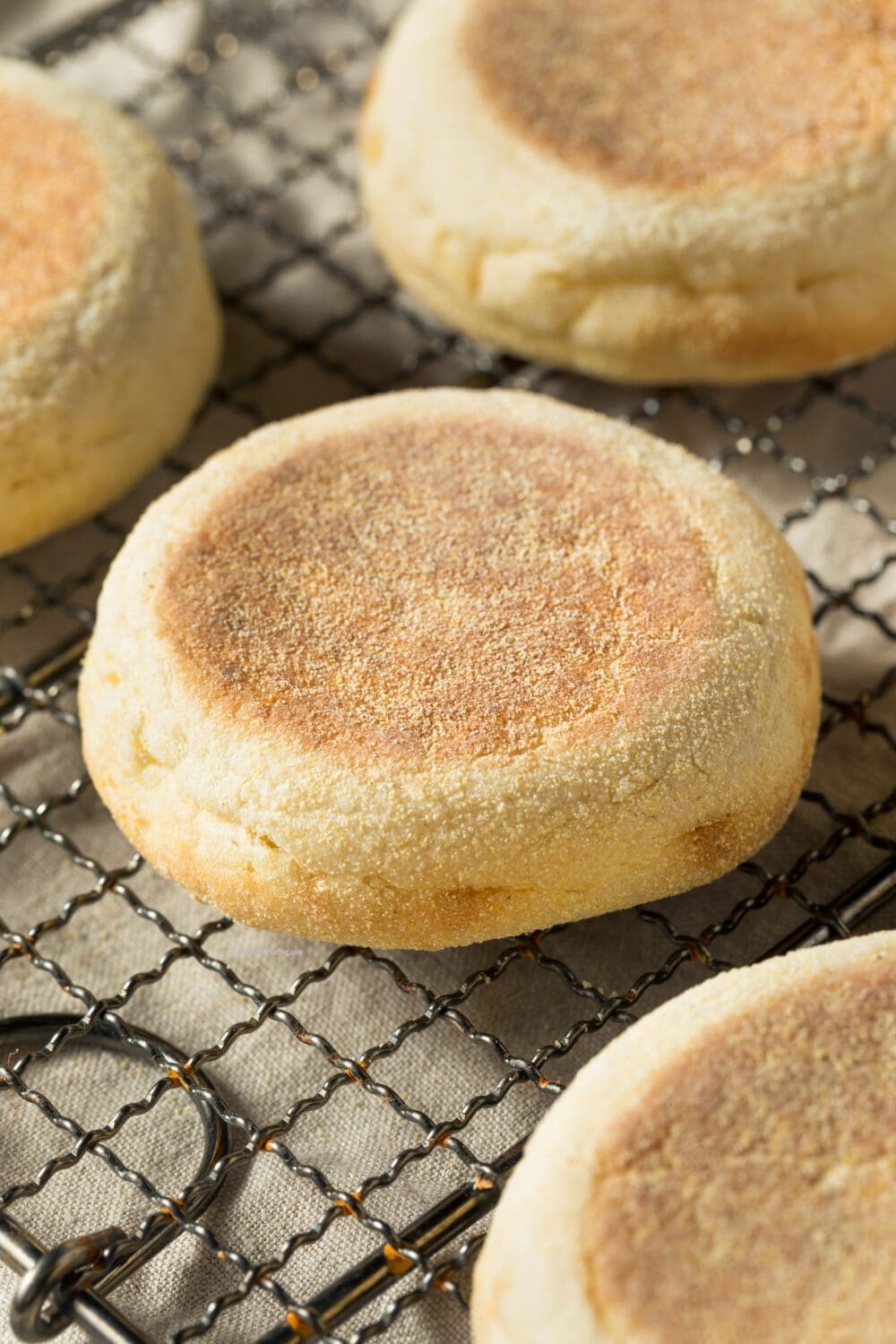 Low Calorie English Muffins