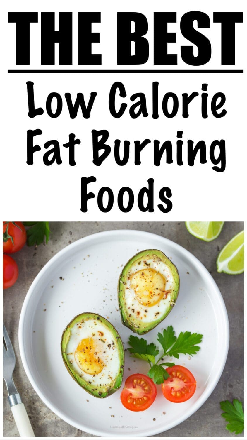 Low Calorie Fat Burning Foods