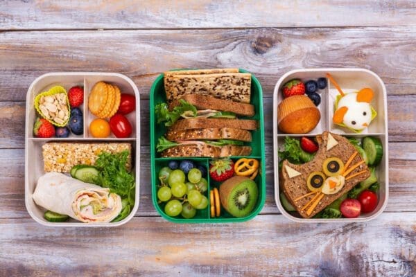 20 Healthy Lunch Box Meal Ideas