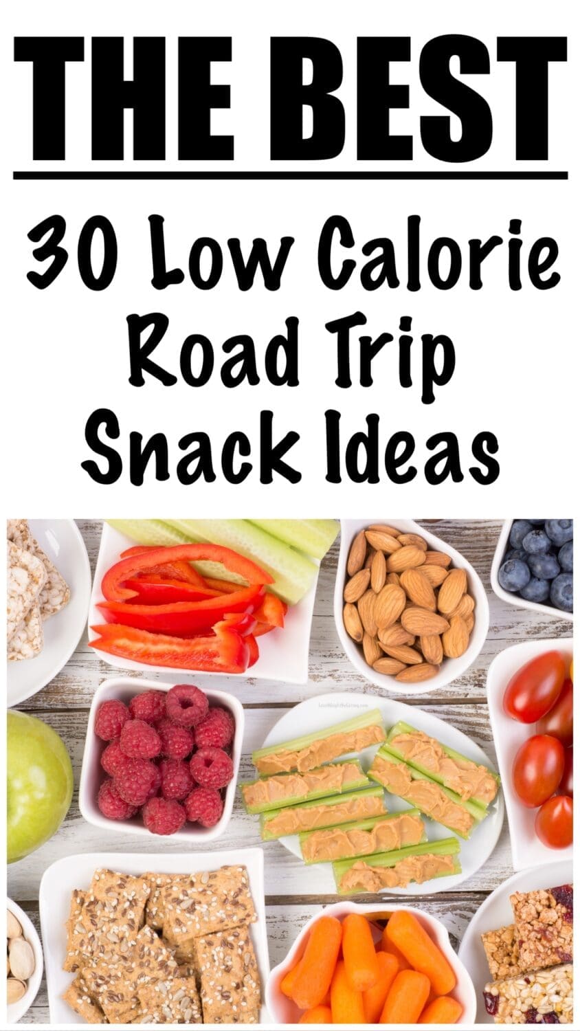 Low Calorie Road Trip Snack Ideas