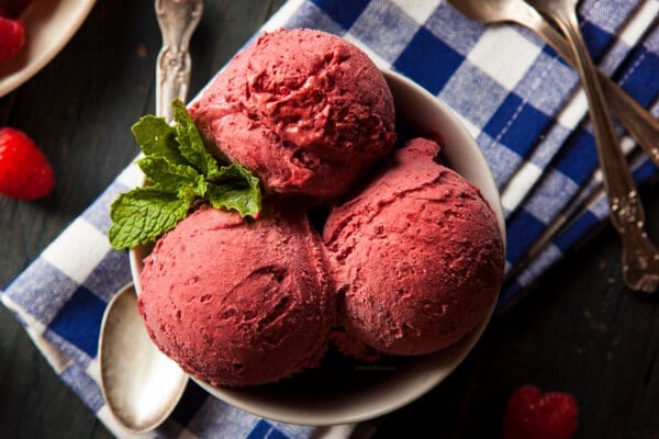 Low Calorie Berry Ice Cream