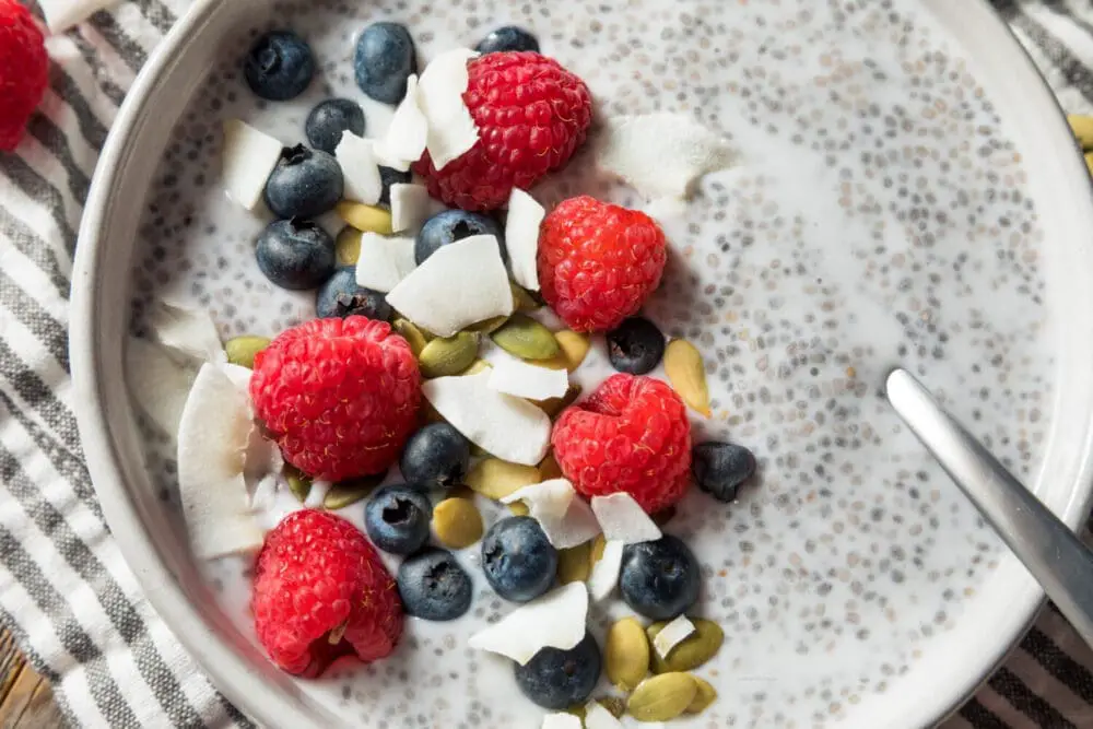 Low Calorie Chia Seed Yogurt Breakfast Bowls