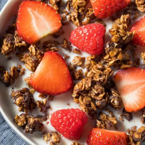 Low Calorie High Protein Chocolate Granola