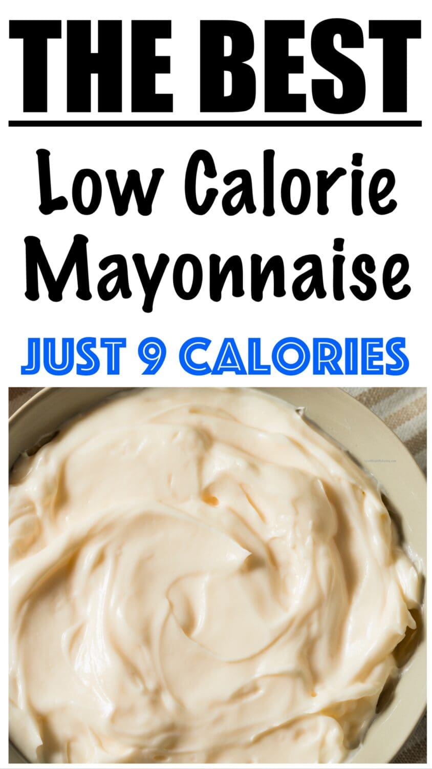 Low Calorie Mayonnaise Recipe