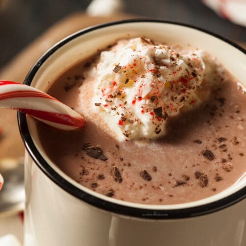 low calorie peppermint hot chocolate